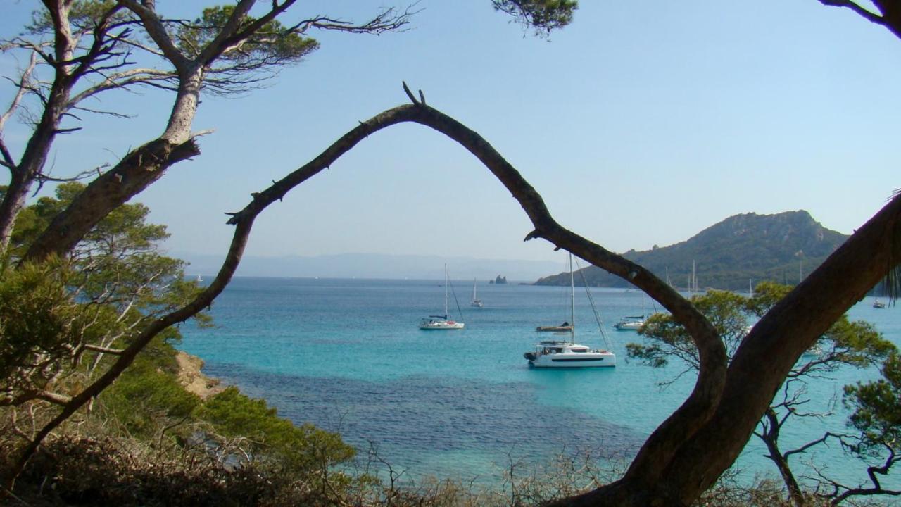 Grand studio à Hyères entre mer et ville Esterno foto